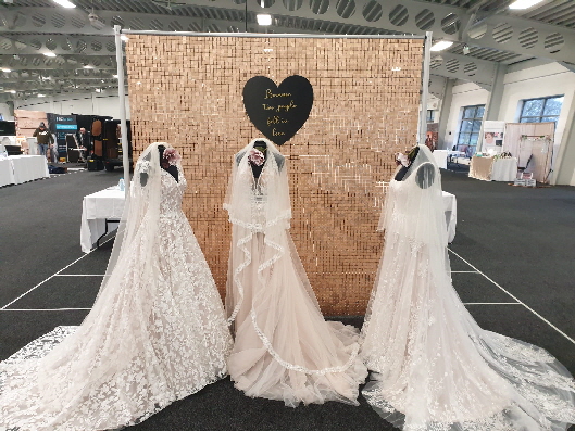 january wedding show pic 2